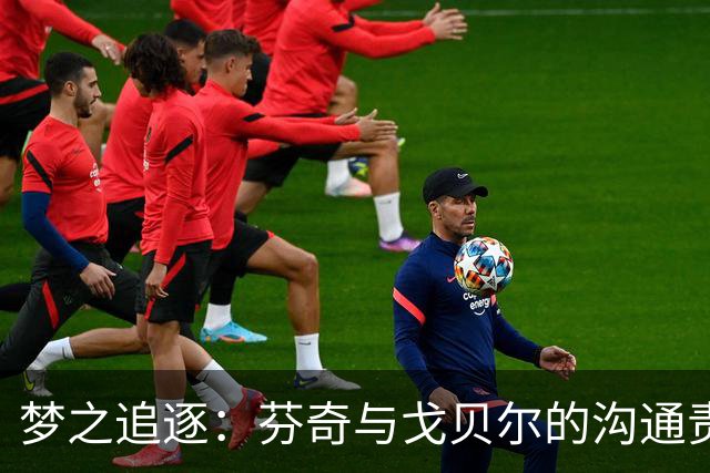 梦之追逐：芬奇与戈贝尔的沟通责任之辩